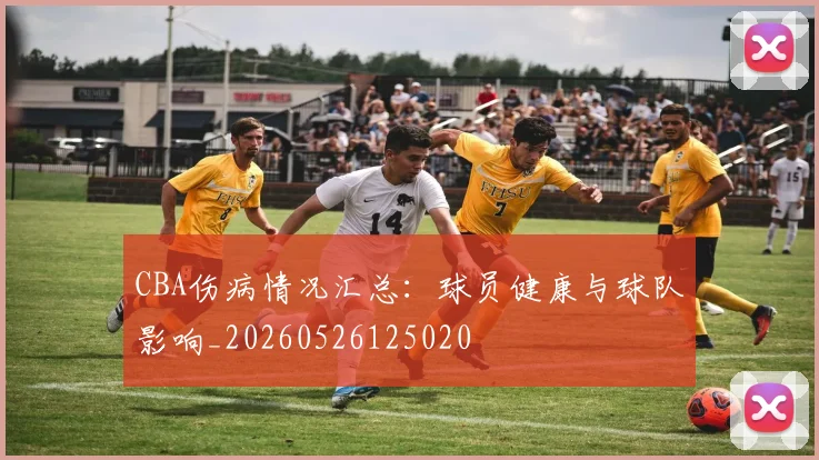 CBA伤病情况汇总：球员健康与球队影响_20260526125020